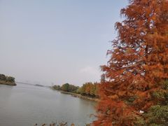 -长广溪湿地公园