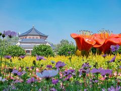 -广州中山纪念堂