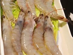 冰鲜海虾-锅说大脸毛肚重庆老火锅(佐阾店)