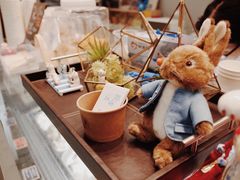 -歎雪糕低糖低脂Gelato冰淇淋