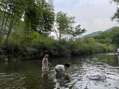 -北仑森林植物园
