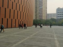 -中国宋庆龄青少年科技文化交流中心