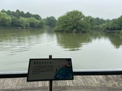 -中国湿地博物馆