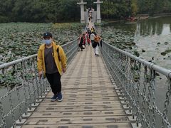 -东湖落雁景区