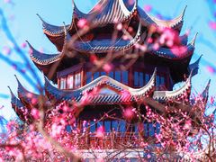 -上海海湾国家森林公园