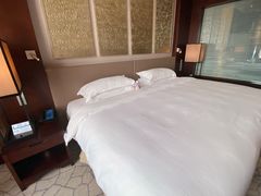 -北京首都机场希尔顿酒店