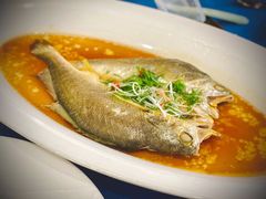 古法秘制蒸鲥鱼-麟1929(外滩店)