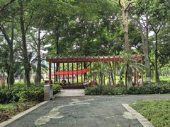 -映月湖公园