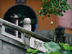 -灵谷景区