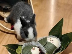 -大象厨房(重庆道店)