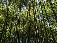 -四门塔风景区
