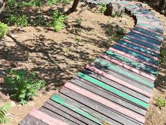 -北京十三陵国家森林公园蟒山景区