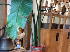 -MUSEO COFFEE咖啡博物馆