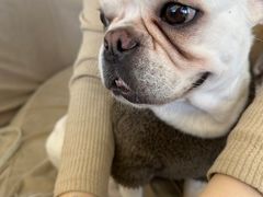 -怪兽屋·羊驼·猫咖·狗咖(俊华广场店)