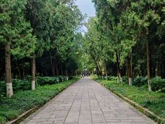 -灵谷景区