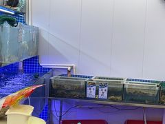 -阿军排档·烧烤
