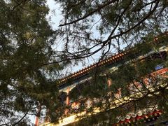 -北京艺术博物馆(万寿寺)