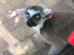 -辛玛王国游乐园