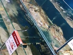 -吕氏疙瘩汤·私家菜馆(慈云寺店)