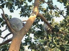 -费瑟代尔野生动物园