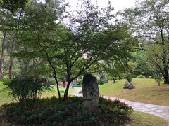 -复旦大学光华楼
