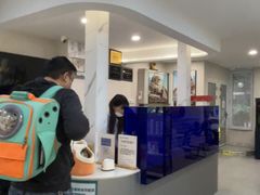 -伟伟宠物医院·CT影像中心·瑞派犬猫综合性门诊(汉口总院)
