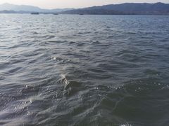 -西湖游船