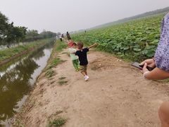 -西青郊野公园