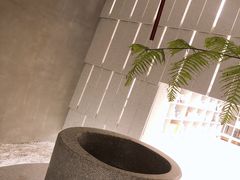 -二酉书店TOYOU BOOKS