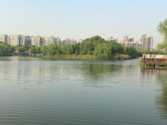 -新江湾城公园