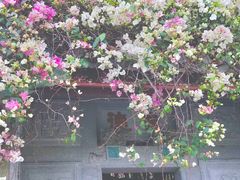 -深圳国际园林花卉博览园