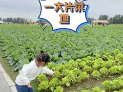 -中国天府农业博览园