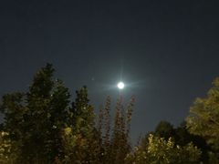 -西安化觉巷清真大寺