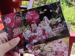 -南汇桃花村