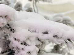 -世界之窗阿尔卑斯冰雪世界