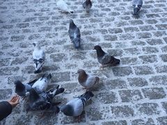 iphone_upload_pic-圣·阿列克谢耶夫教堂