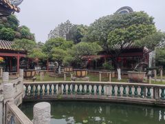 -碧江金楼