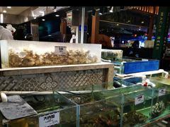 水产区-喷泉广场餐厅·宵夜·海鲜烧烤大排档(长隆企鹅酒店)