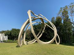-顺峰山公园