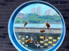 -珠海圆明新园