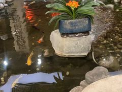 -顺峰·粤菜海鲜·早茶自助(阜成店)