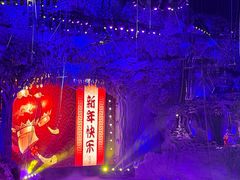 -广州长隆国际大马戏