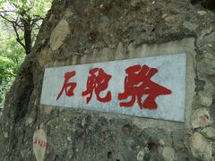 -阳台山自然风景区