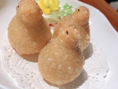 -点都德·毕德寮