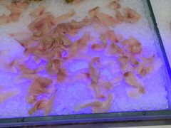 -好伦哥比萨烤肉自助(马家堡店)