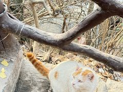 -终南山南五台景区