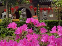 -下海庙
