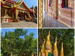 -西双版纳勐泐文化旅游区