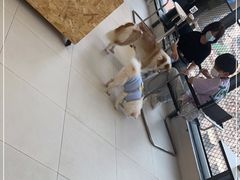 -怪兽屋·羊驼·猫咖·狗咖(俊华广场店)