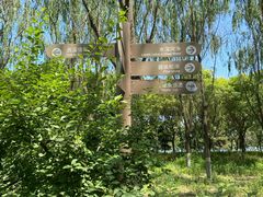 -大兴滨河森林公园